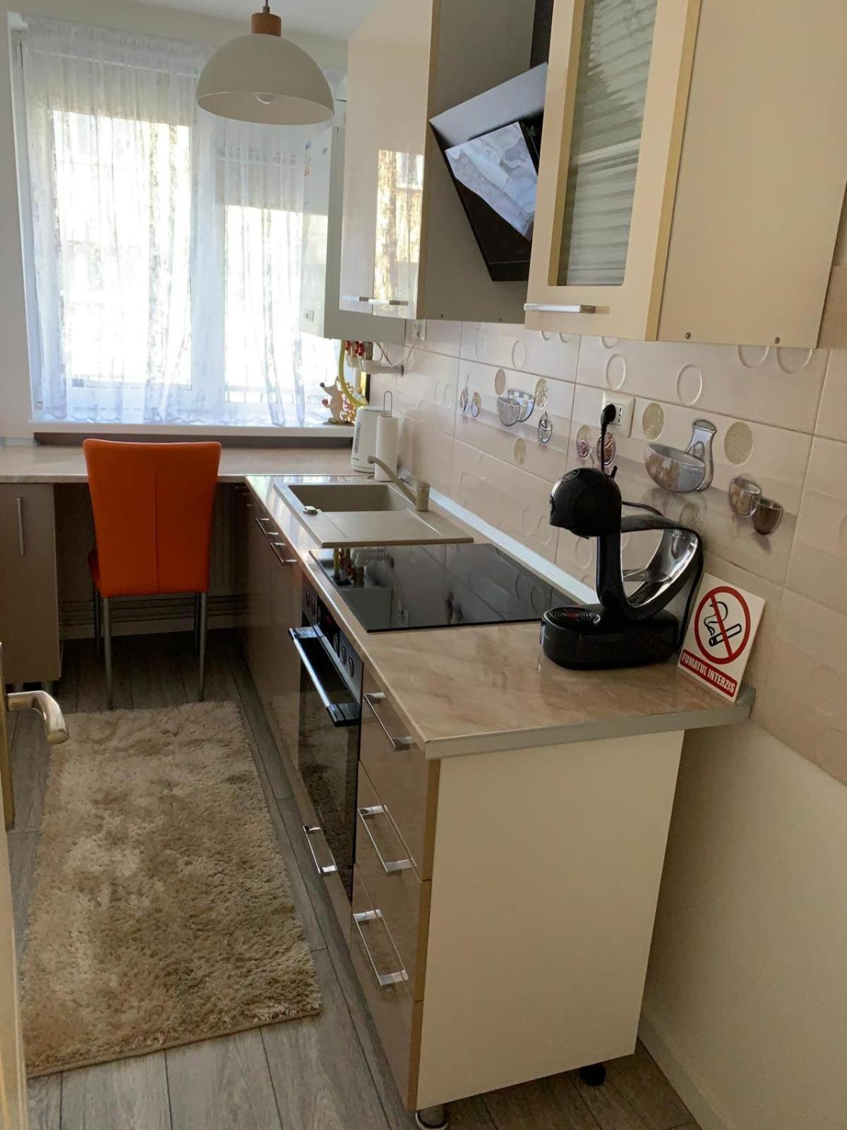 Rose Apartment Piatra Neamţ エクステリア 写真
