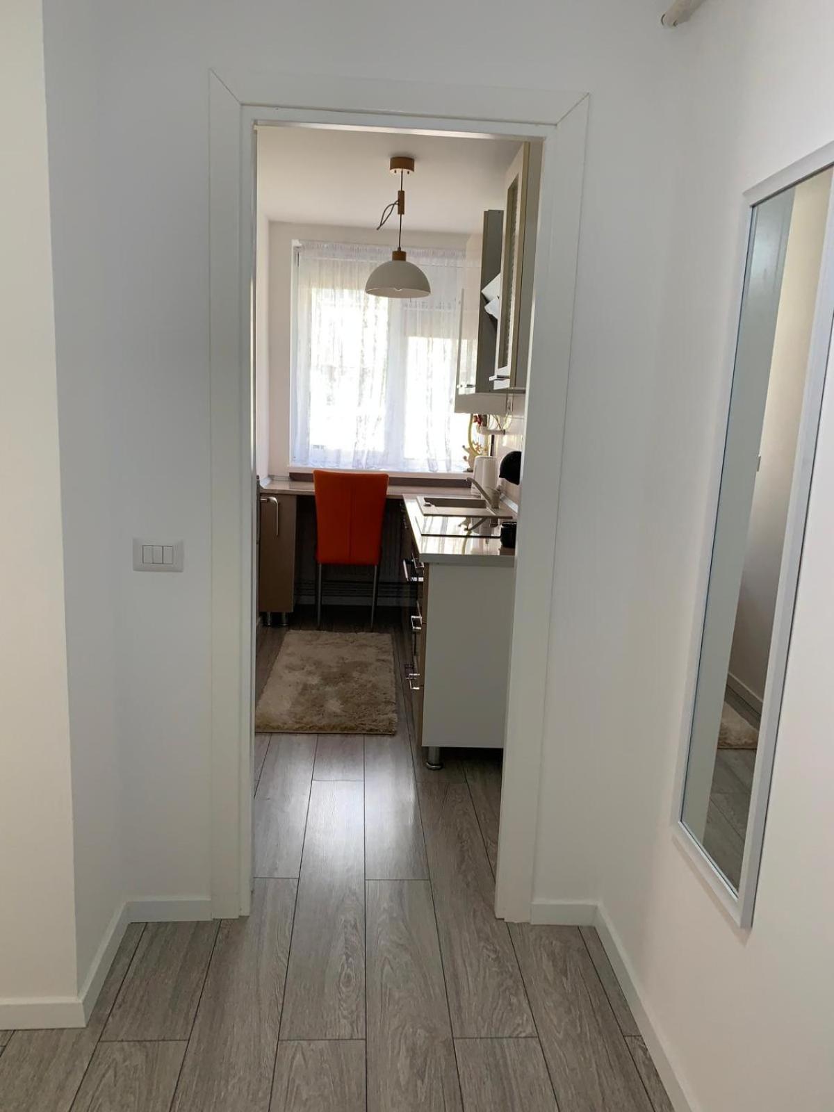 Rose Apartment Piatra Neamţ エクステリア 写真