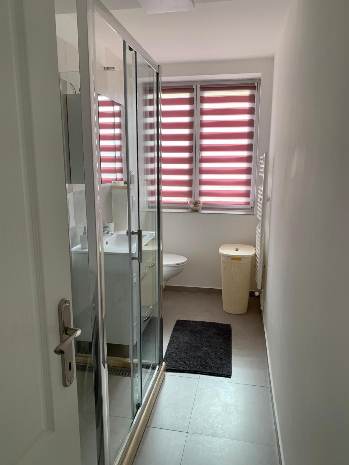 Rose Apartment Piatra Neamţ エクステリア 写真