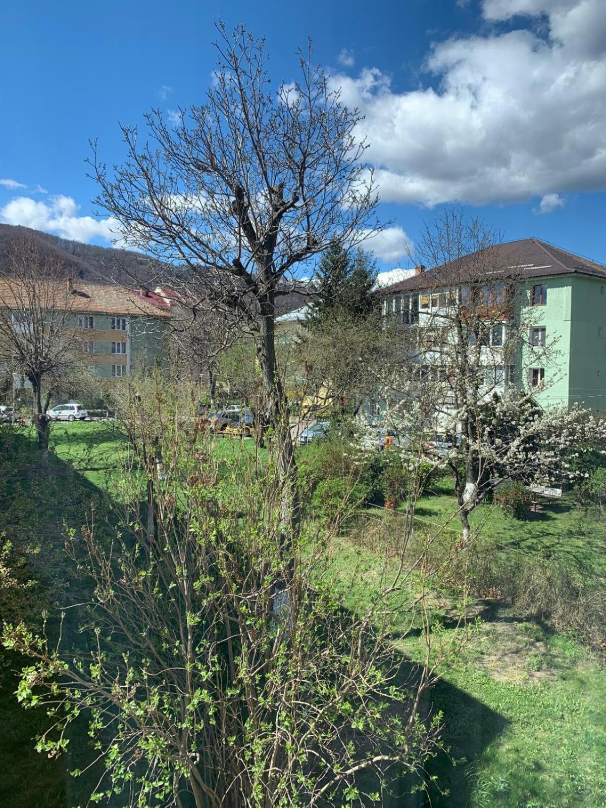 Rose Apartment Piatra Neamţ エクステリア 写真