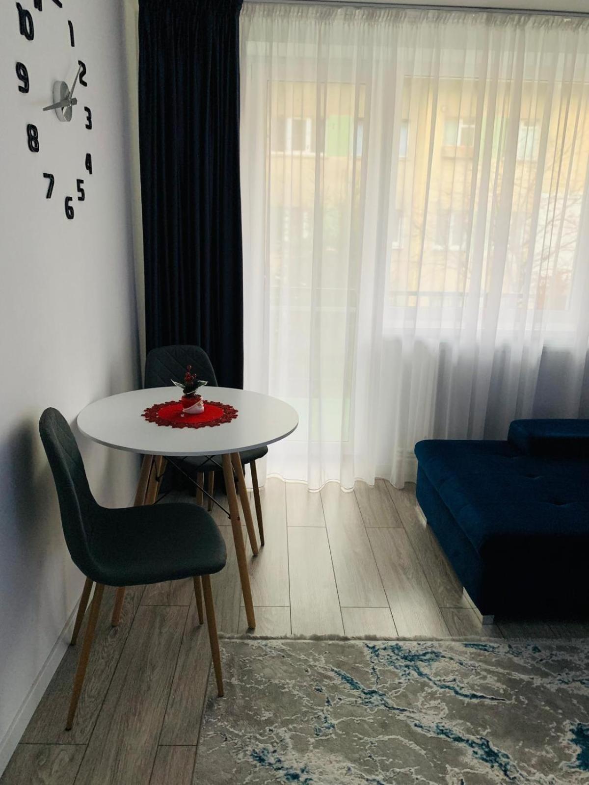 Rose Apartment Piatra Neamţ エクステリア 写真